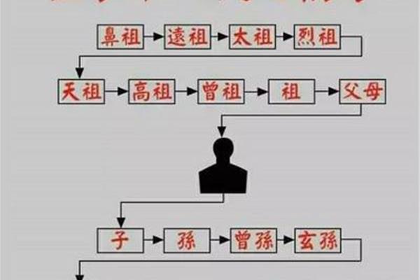 称呼大全表