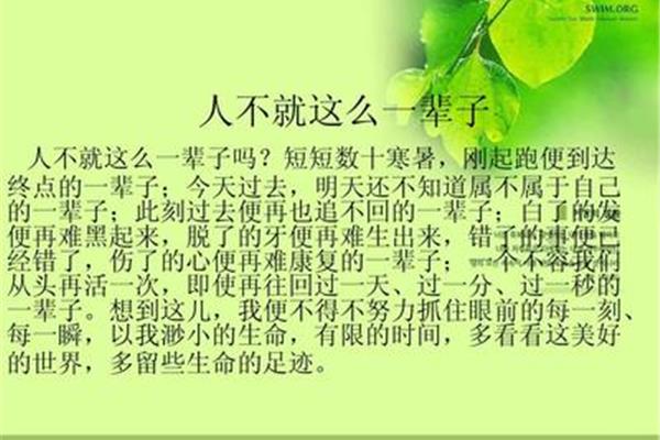 热爱生命蒙田