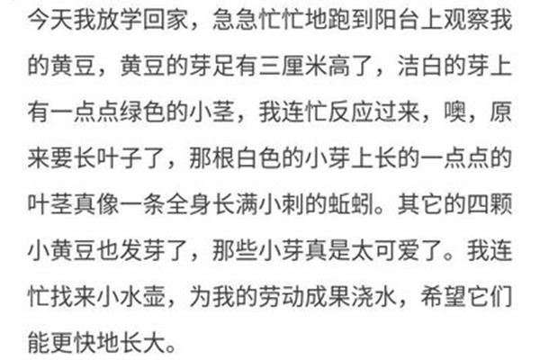 观察日记怎么写