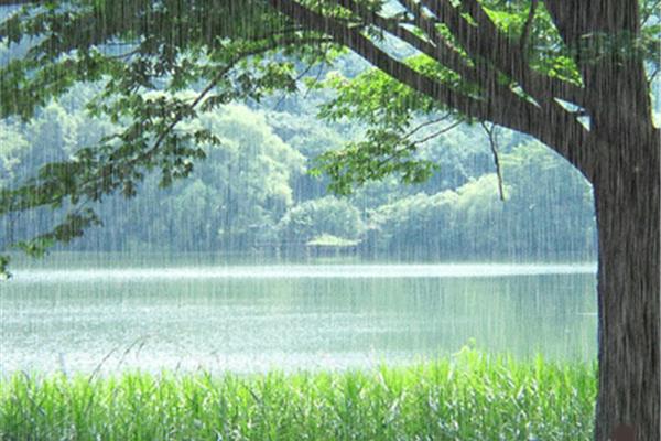 喜欢下雨天