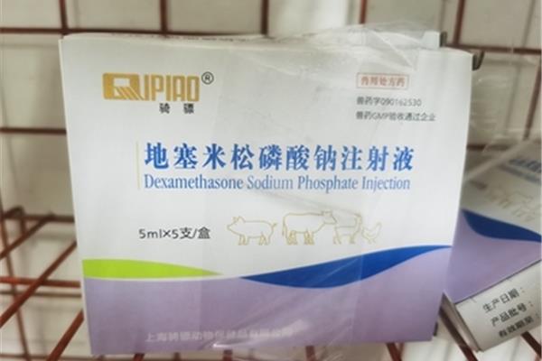 青霉素眼药水
