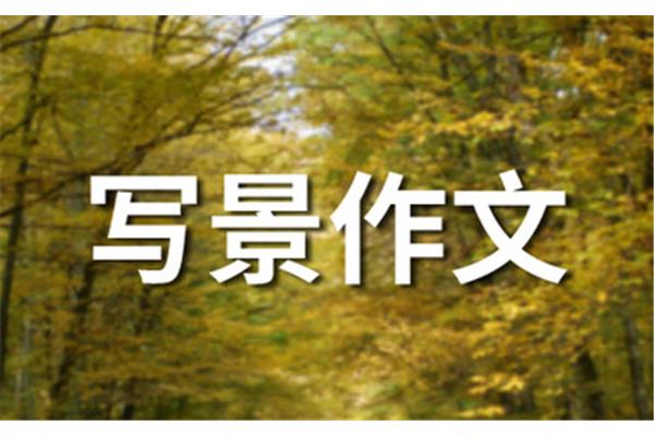 冬天造句子大全
