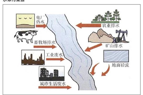 水污染的主要原因