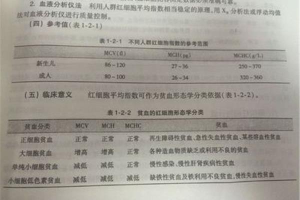 贫血的类型
