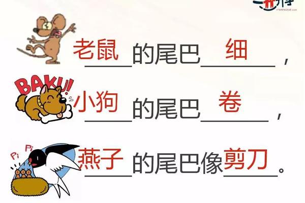 小动物尾巴的作用