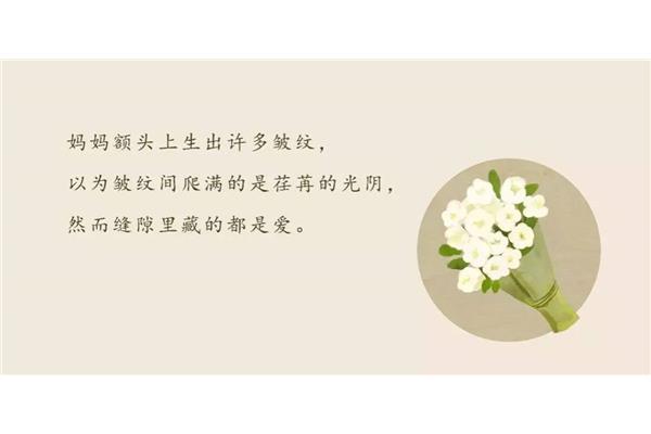 给妈妈的花