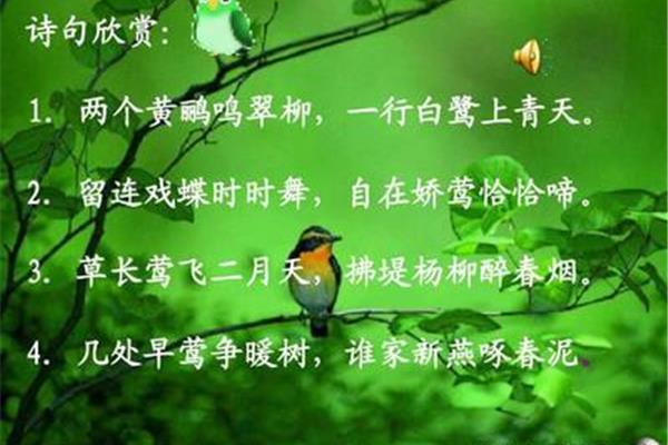 与鸟有关的诗句