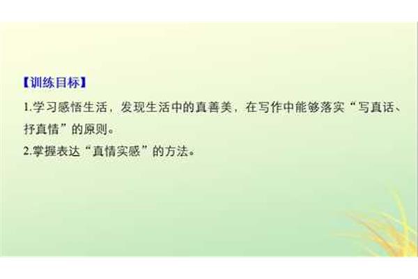 高中生活感悟