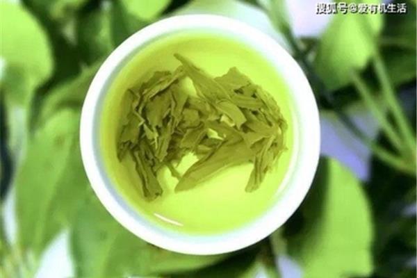 绿茶下火吗