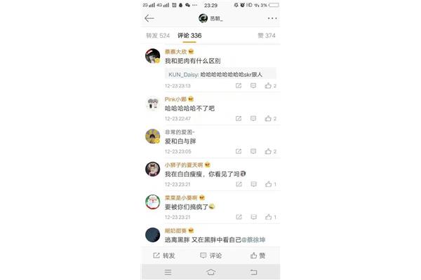 ikun语录