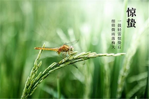 惊蛰是几月几号
