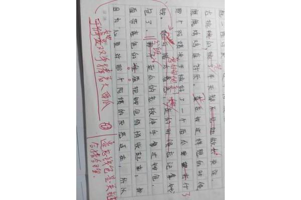 我的新学校