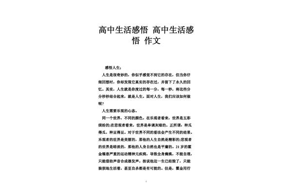 高中生活感悟