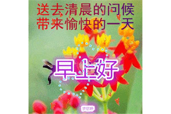 周三早安问候语
