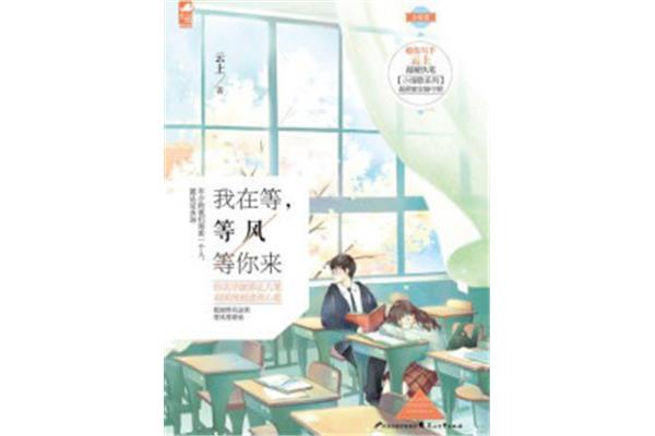我在未来等你小说
