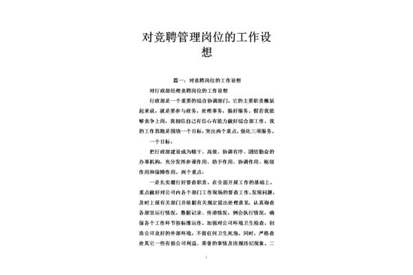工作设想怎么写