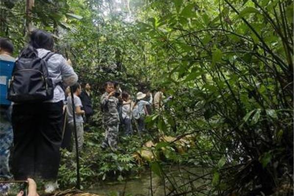 生物多样性的内涵