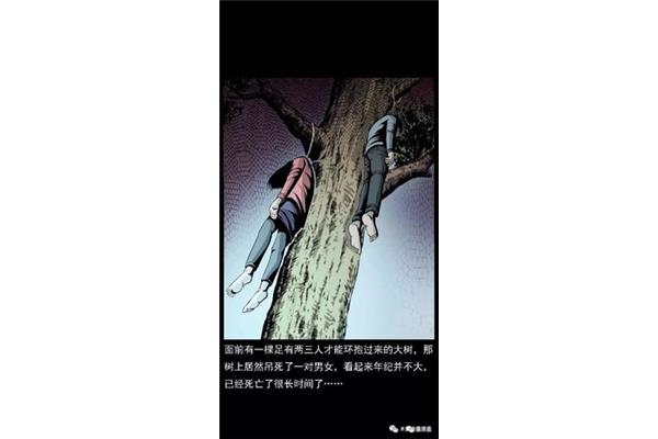 吊死在一棵树上