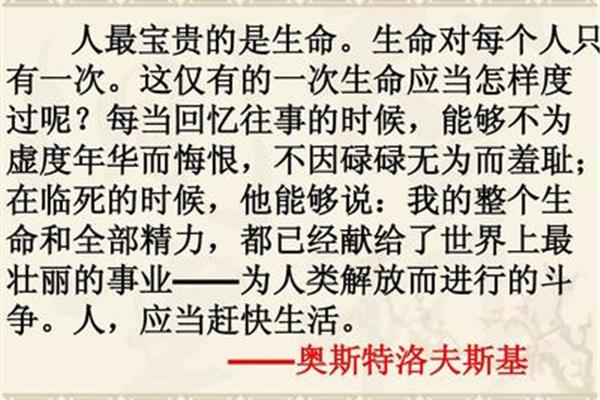 热爱生命蒙田