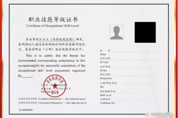 人力资源一级