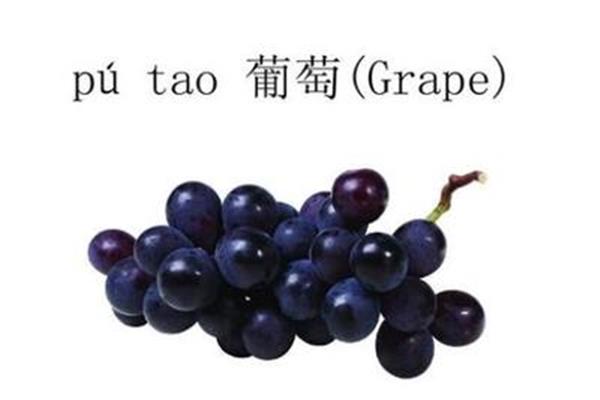 葡萄的英语怎么说
