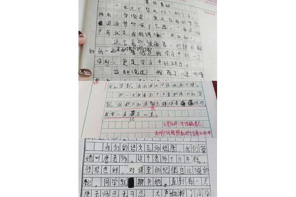 我眼中的老师作文
