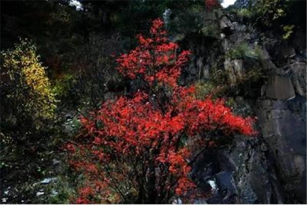 生物多样性的内涵