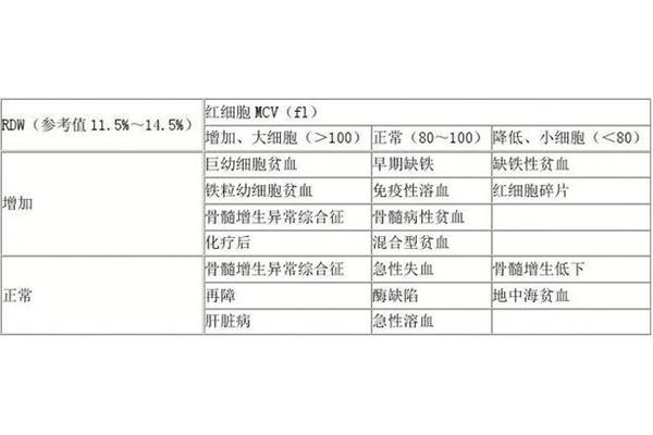 贫血的类型