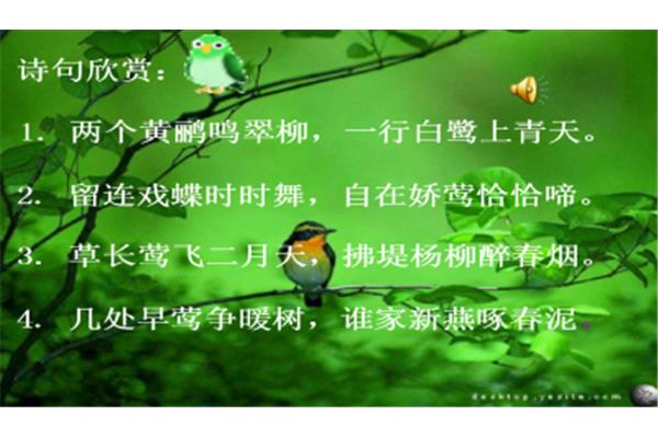 与鸟有关的诗句