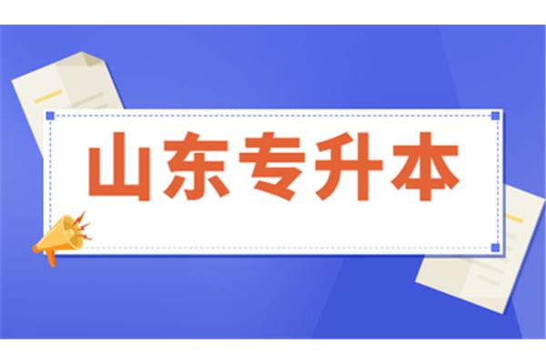专升本山东
