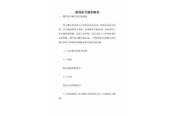 见习报告格式