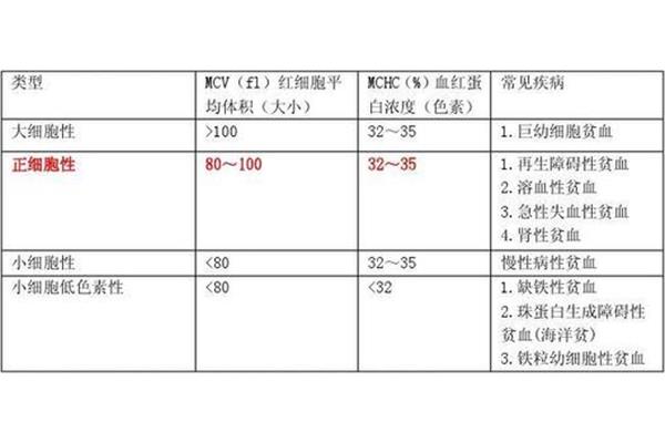 贫血的类型