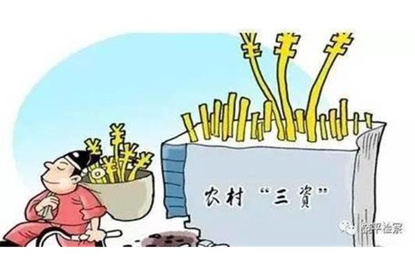 农村三资是什么
