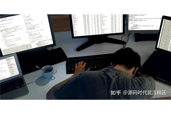 程序员是干什么的