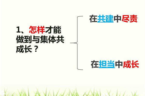 我与集体共成长