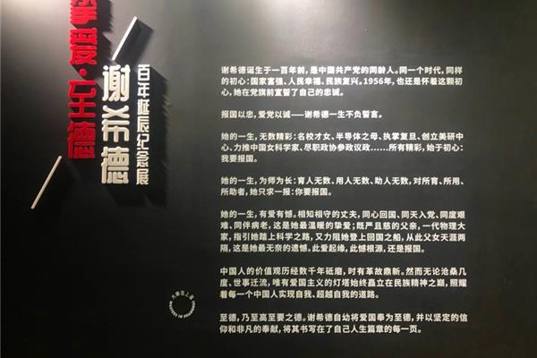 象牙塔是什么意思