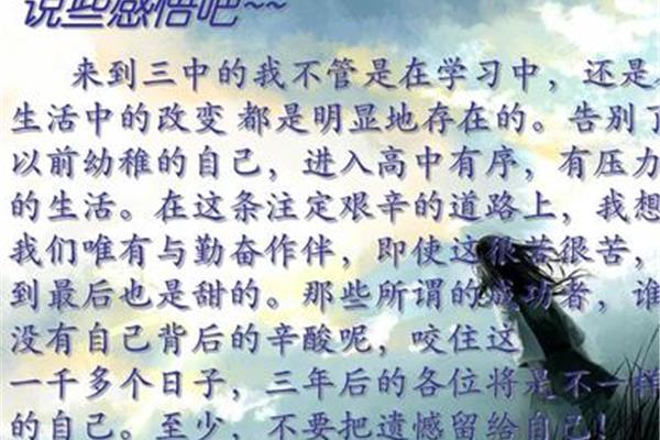 高中生活感悟