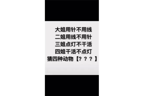 大姐用针不用线