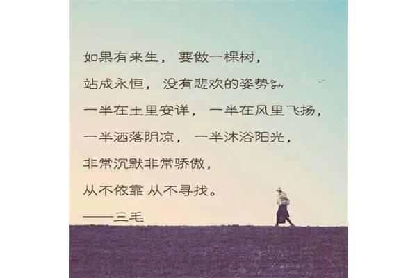 来不及告别