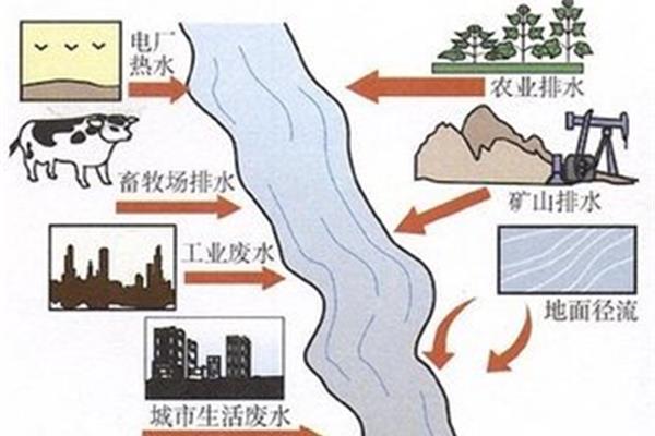 水污染的主要原因