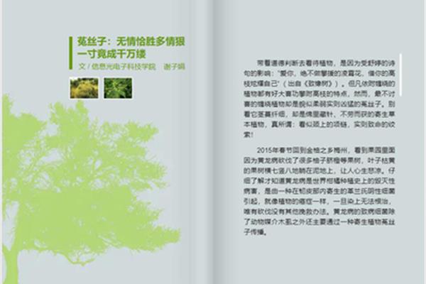 带植物的诗句