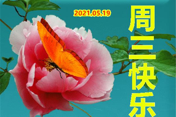 周三早安问候语