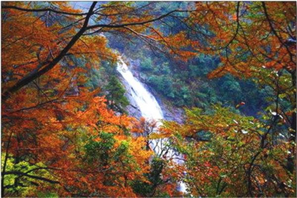 天目山景区