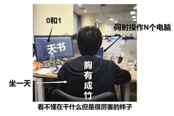 程序员是干什么的