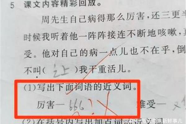 时髦的近义词