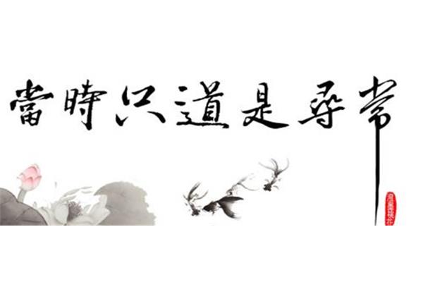 如愿以偿的意思