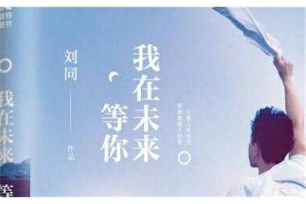 我在未来等你小说