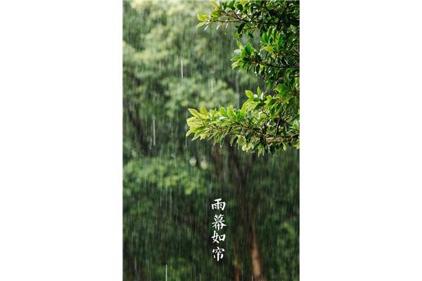 喜欢下雨天