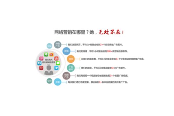 网站建设方案