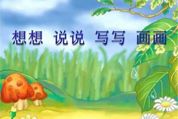 我喜欢的季节